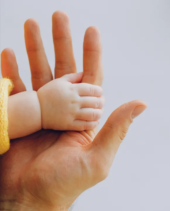Baby's hand in a parent's hand holding fingers.