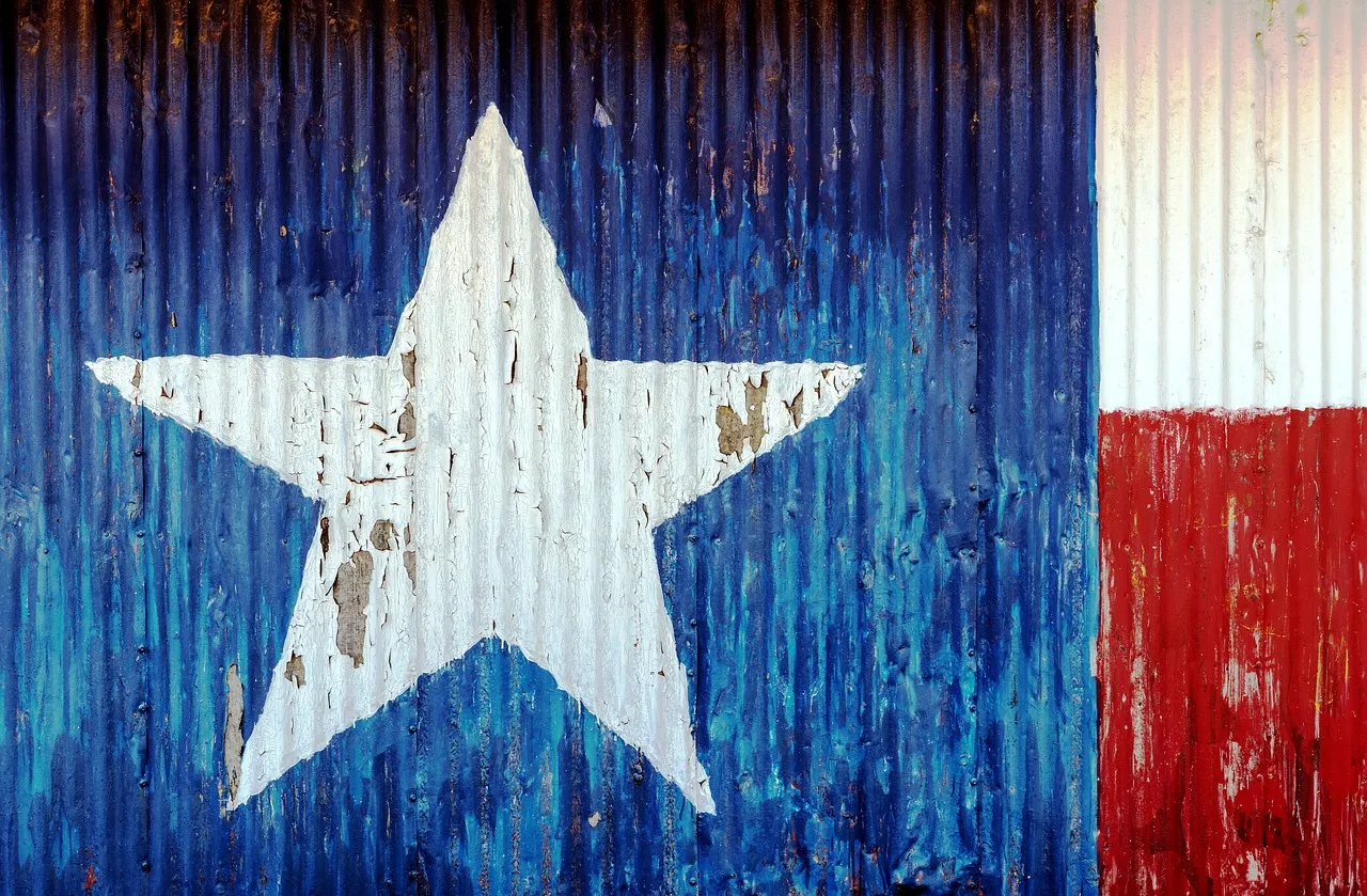 Texas state flag painted on a metal sheet.